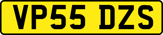 VP55DZS