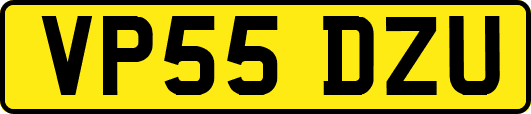 VP55DZU