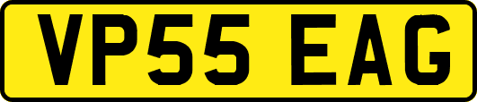 VP55EAG