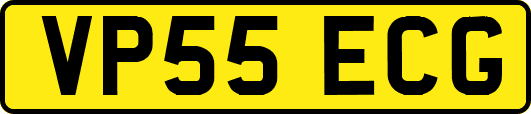VP55ECG