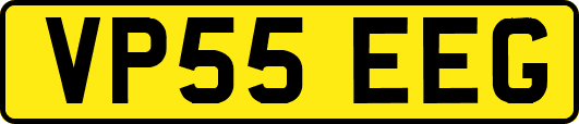 VP55EEG