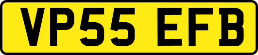 VP55EFB