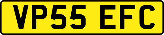 VP55EFC