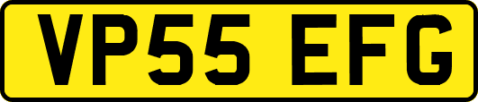 VP55EFG