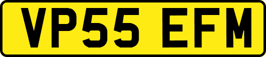 VP55EFM