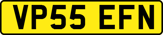 VP55EFN