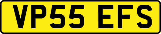 VP55EFS