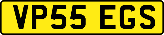 VP55EGS