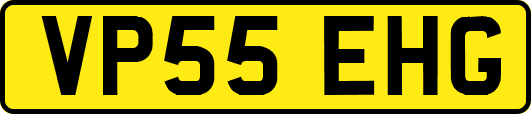 VP55EHG