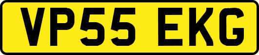 VP55EKG