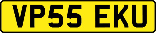 VP55EKU