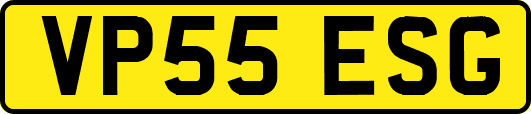 VP55ESG