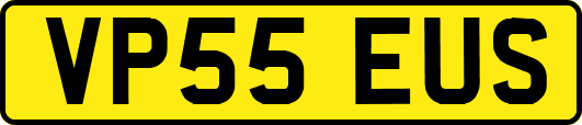 VP55EUS