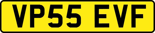 VP55EVF