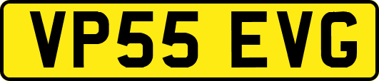 VP55EVG