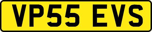 VP55EVS