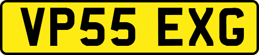 VP55EXG