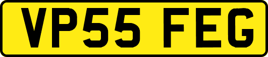 VP55FEG