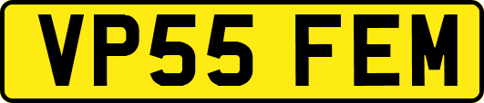 VP55FEM