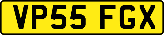 VP55FGX