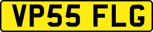 VP55FLG