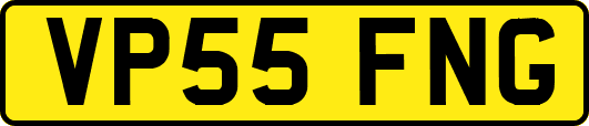 VP55FNG