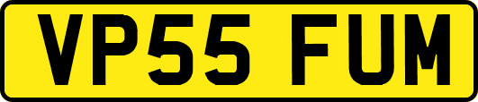 VP55FUM