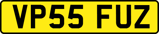 VP55FUZ