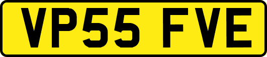 VP55FVE
