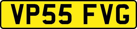 VP55FVG