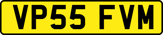 VP55FVM