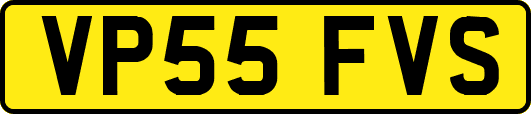 VP55FVS