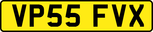 VP55FVX