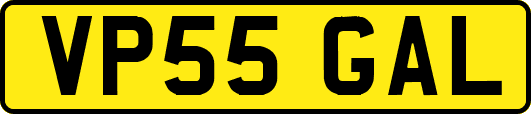 VP55GAL