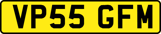 VP55GFM