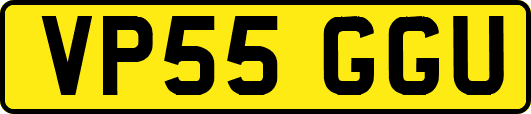 VP55GGU