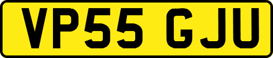 VP55GJU