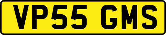 VP55GMS