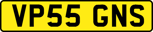 VP55GNS