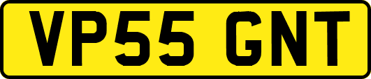 VP55GNT