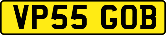 VP55GOB