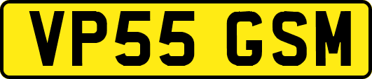 VP55GSM