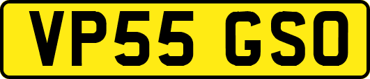 VP55GSO