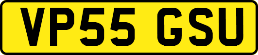 VP55GSU