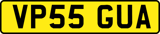 VP55GUA