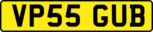 VP55GUB