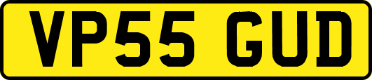 VP55GUD