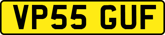 VP55GUF