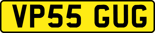 VP55GUG