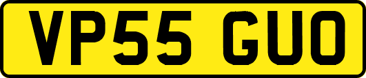 VP55GUO